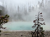 Yellowstone Norris Geyser Cistern spring (2).JPG